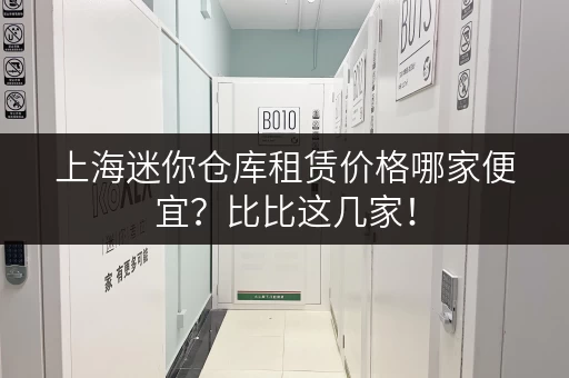 上海迷你仓库租赁价格哪家便宜？比比这几家！