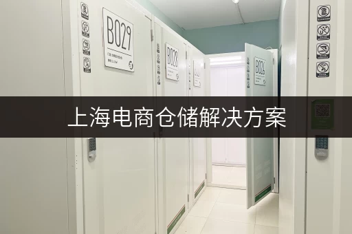 上海电商仓储解决方案，高效便捷的仓储配送