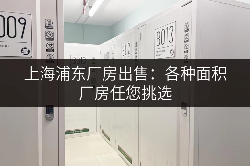 上海浦东厂房出售：各种面积厂房任您挑选