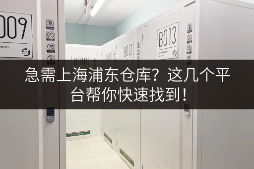 急需上海浦东仓库？这几个平台帮你快速找到！