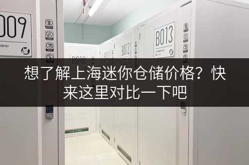 想了解上海迷你仓储价格？快来这里对比一下吧