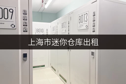 上海市迷你仓库出租，个人企业存储好帮手！