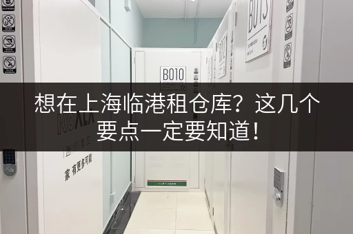 想在上海临港租仓库？这几个要点一定要知道！