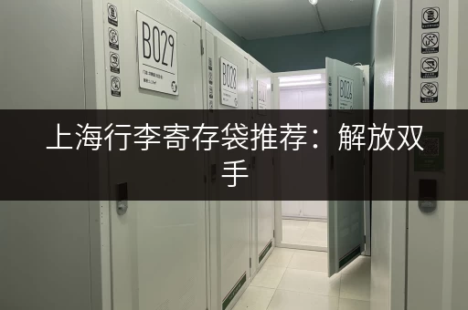 上海行李寄存袋推荐：解放双手，轻松玩转魔都！
