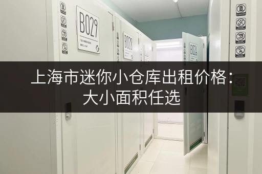 上海市迷你小仓库出租价格：大小面积任选，价格灵活！
