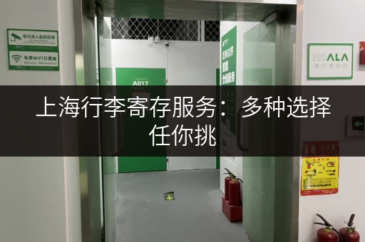 上海行李寄存服务：多种选择任你挑，玩得开心无后顾之忧