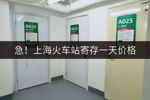 急！上海火车站寄存一天价格，有哪些选择？