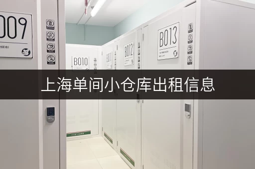 上海单间小仓库出租信息，满足您的存储需求