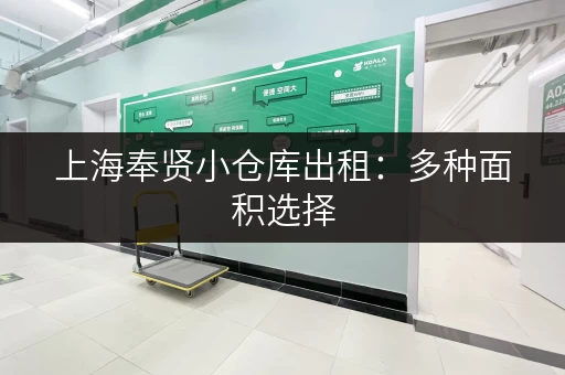 上海奉贤小仓库出租：多种面积选择，满足您的各种需求！
