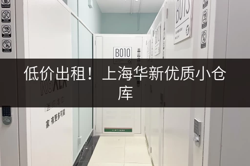 低价出租！上海华新优质小仓库，欢迎咨询！