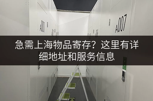 急需上海物品寄存？这里有详细地址和服务信息