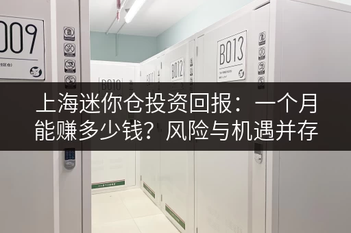 上海迷你仓投资回报：一个月能赚多少钱？风险与机遇并存