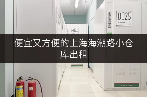 便宜又方便的上海海潮路小仓库出租，值得您信赖