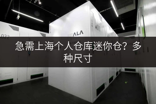 急需上海个人仓库迷你仓？多种尺寸，满足你的需求