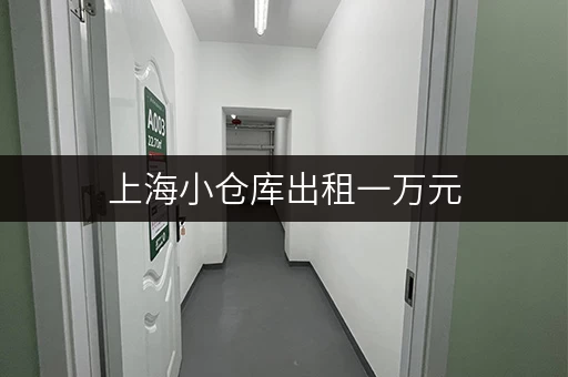 上海小仓库出租一万元，松江、浦东等区域均有
