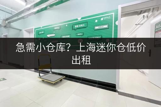 急需小仓库？上海迷你仓低价出租，金钱压力不再是问题！