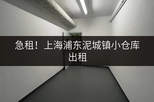 急租！上海浦东泥城镇小仓库出租，低价出租，交通便利！