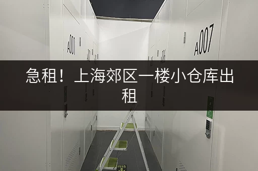 急租！上海郊区一楼小仓库出租，多种面积可选