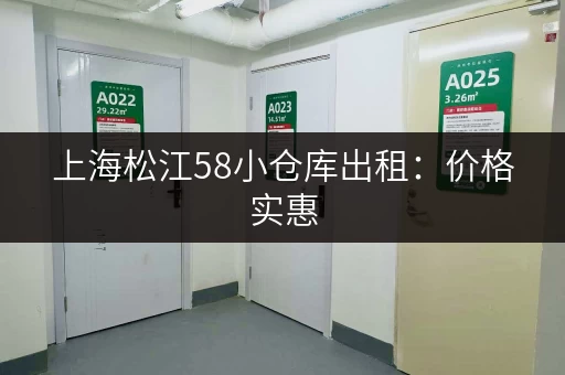 上海松江58小仓库出租：价格实惠，多种面积选择
