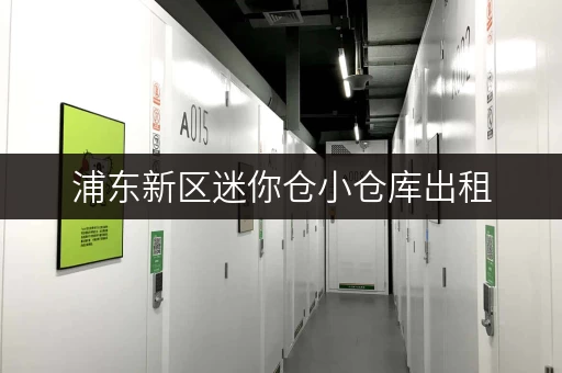 浦东新区迷你仓小仓库出租，安全可靠，多种面积