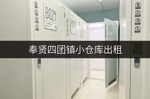 奉贤四团镇小仓库出租，电话联系，立即获取租赁信息