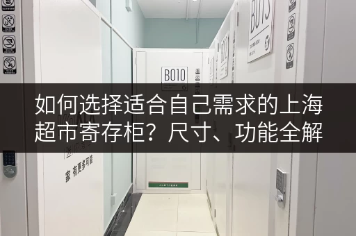 如何选择适合自己需求的上海超市寄存柜？尺寸、功能全解析