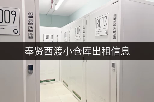 奉贤西渡小仓库出租信息，多种面积任您选择