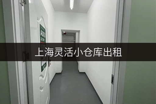 上海灵活小仓库出租，价格多少？一天租金最低多少？