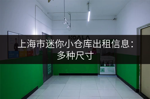上海市迷你小仓库出租信息：多种尺寸，任您选择