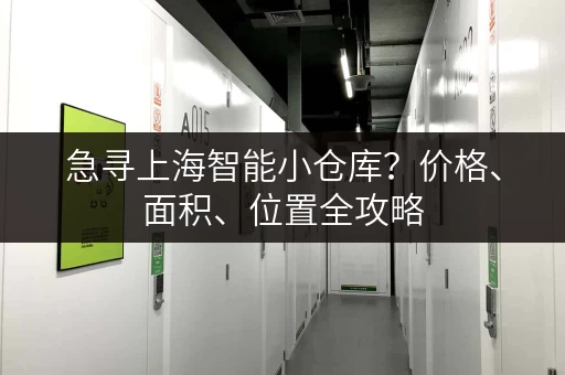 急寻上海智能小仓库？价格、面积、位置全攻略