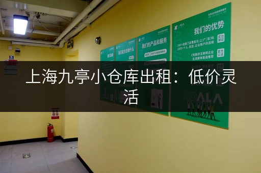 上海九亭小仓库出租：低价灵活，多种面积选择