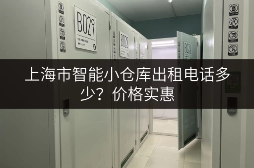 上海市智能小仓库出租电话多少？价格实惠，空间灵活！