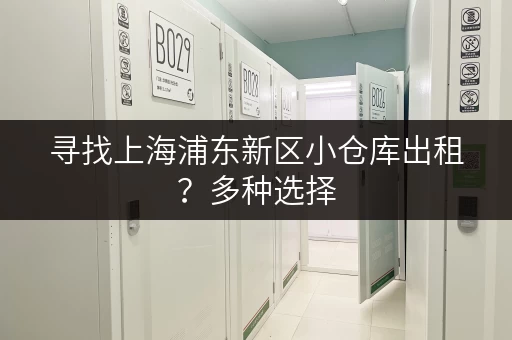 寻找上海浦东新区小仓库出租？多种选择，总有一款适合你