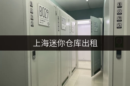 上海迷你仓库出租，短期长期皆可，灵活方便！