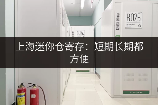 上海迷你仓寄存：短期长期都方便，安全可靠又省心