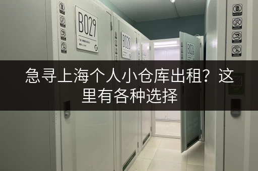 急寻上海个人小仓库出租？这里有各种选择