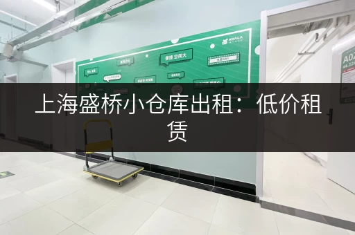 上海盛桥小仓库出租：低价租赁，解决您的储物难题