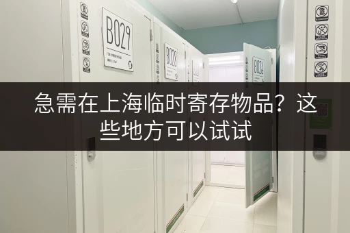 急需在上海临时寄存物品？这些地方可以试试