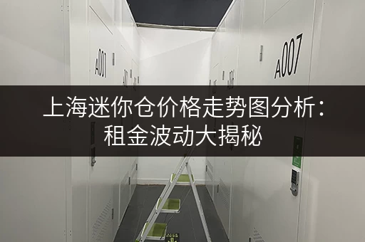 上海迷你仓价格走势图分析：租金波动大揭秘