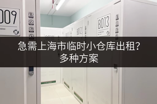 急需上海市临时小仓库出租？多种方案，灵活选择！