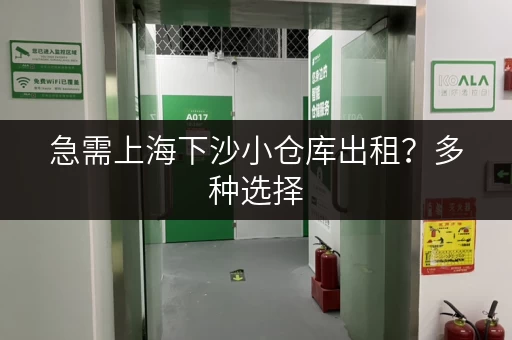 急需上海下沙小仓库出租？多种选择，满足您的需求！