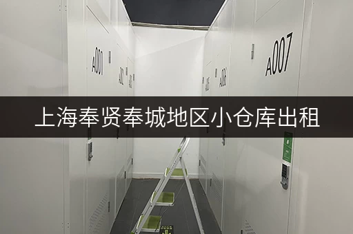 上海奉贤奉城地区小仓库出租，价格、面积、位置全知道
