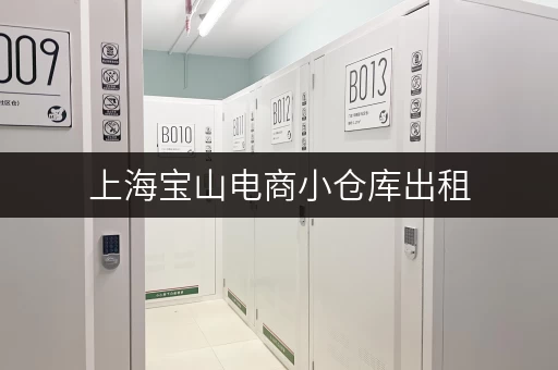 上海宝山电商小仓库出租，价格多少一个月？