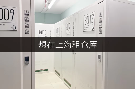 想在上海租仓库，每平方米租金大概多少钱？
