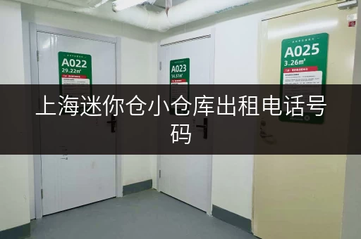 上海迷你仓小仓库出租电话号码，价格优惠，服务周到