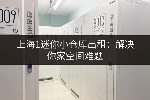 上海1迷你小仓库出租：解决你家空间难题，超值优惠！