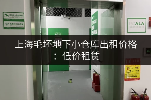 上海毛坯地下小仓库出租价格：低价租赁，多种面积可选