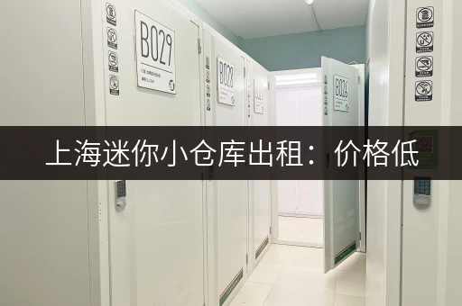 上海迷你小仓库出租：价格低，空间大，安全可靠！