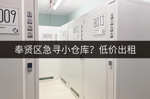 奉贤区急寻小仓库？低价出租，多种面积任您挑选！