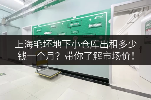 上海毛坯地下小仓库出租多少钱一个月？带你了解市场价！